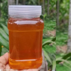 গ্রাম্য চাকের মধু